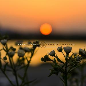 av手机在线观看网
